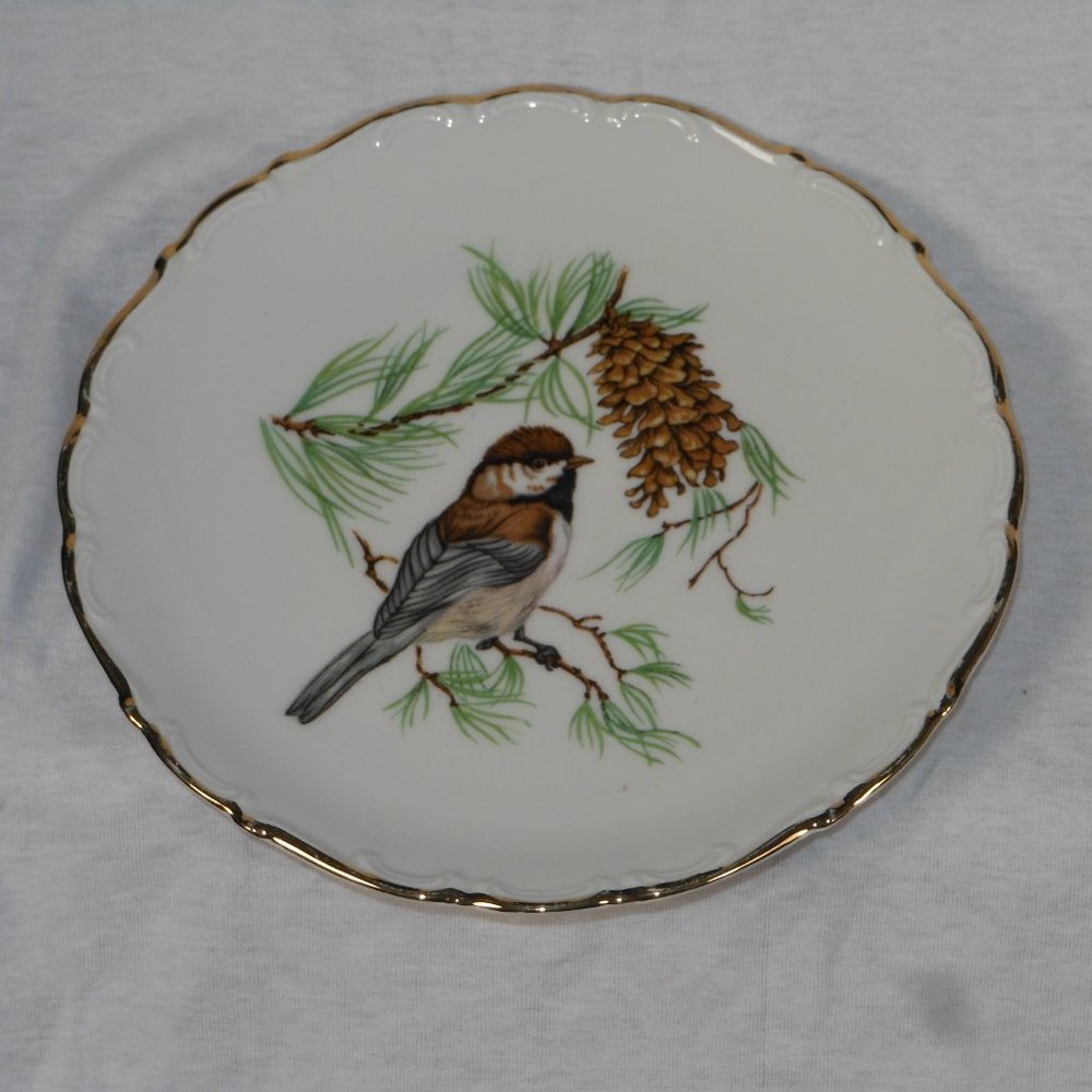 Collector's plate. Schumann Arzberg Bavaria colorful bird plate